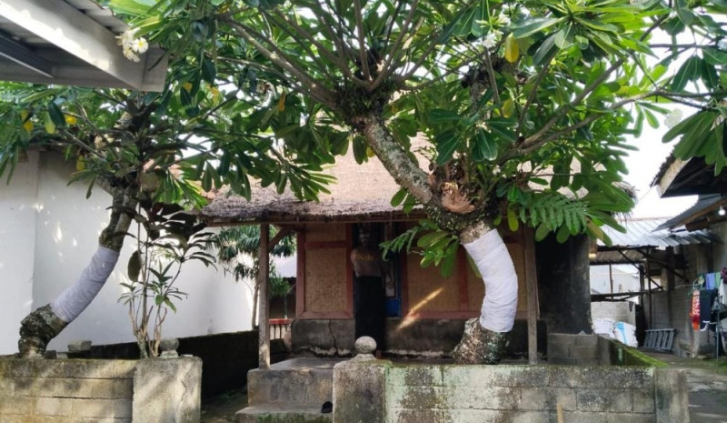 Selayang Pandang Sejarah Desa Gegelang